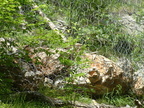 slika 019 (14265 visits) slika 019