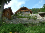 Gozd Martuljek