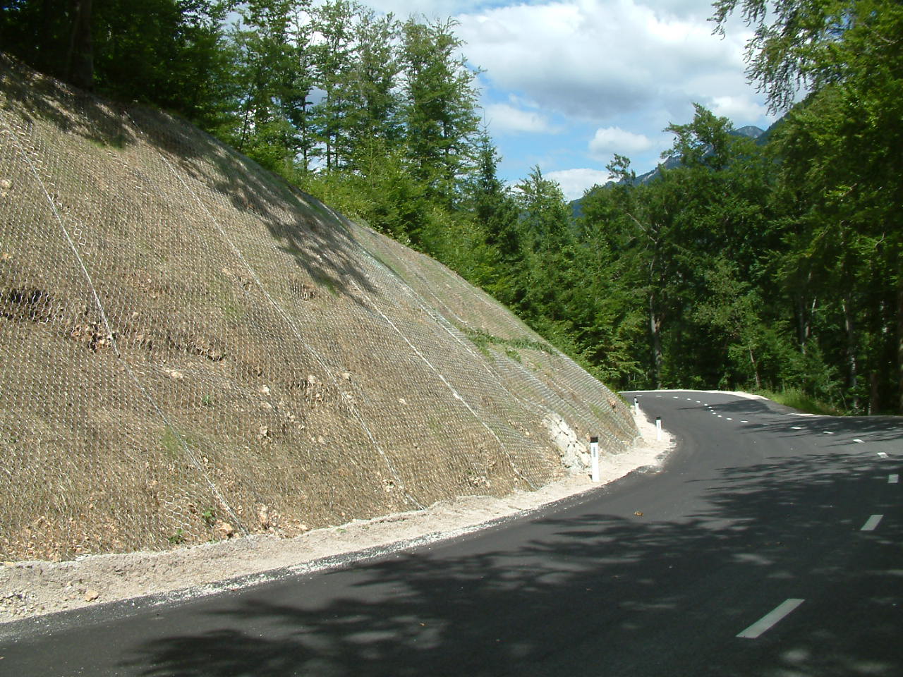 DSCF0003
