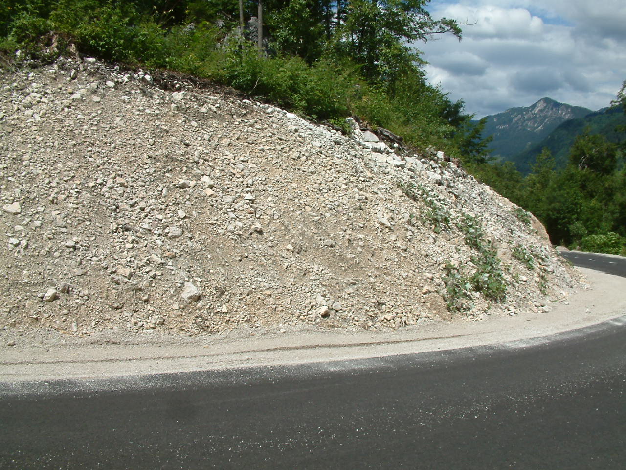 DSCF0011
